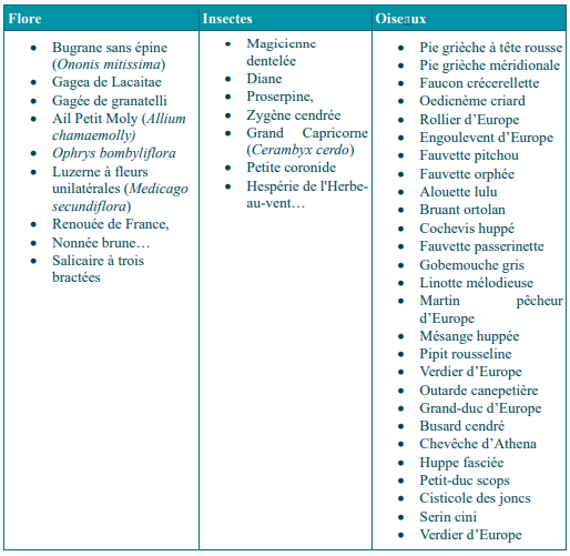 Cette image a été supprimée. Pour des raisons de sécurité, seules les images du domaine local sont autorisées. Image retirée.