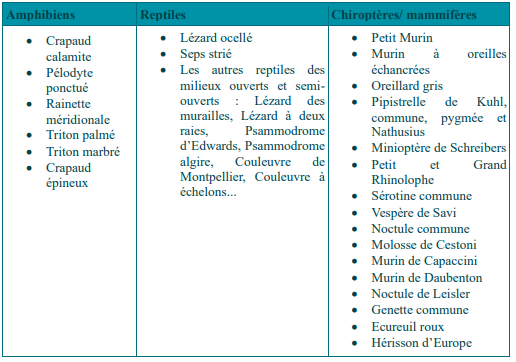 Cette image a été supprimée. Pour des raisons de sécurité, seules les images du domaine local sont autorisées. Image retirée.